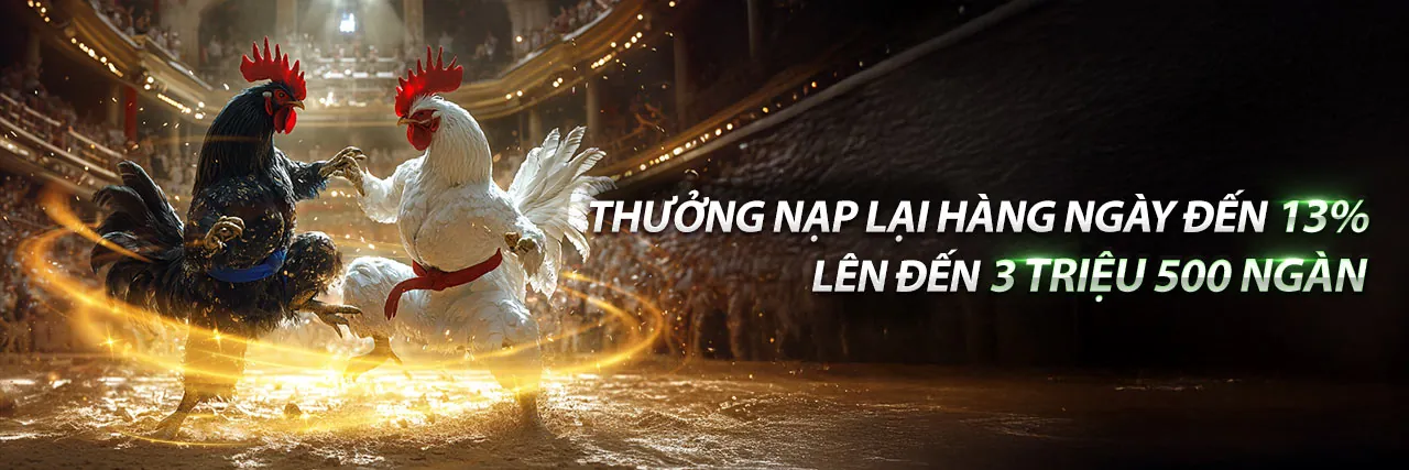 Hình ảnh Đá Gà trực tuyến EV99 2026