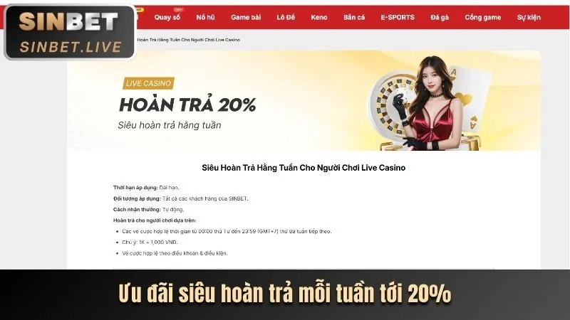Hoàn trả hàng ngày EV99